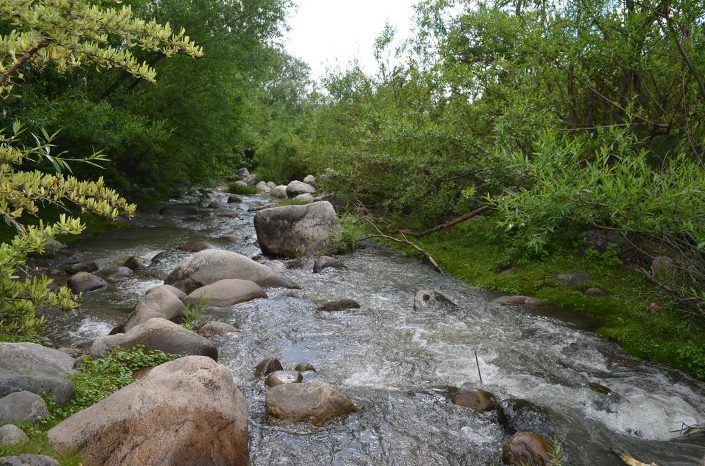 Descanso De Las Piedras Tafí del Valle エクステリア 写真