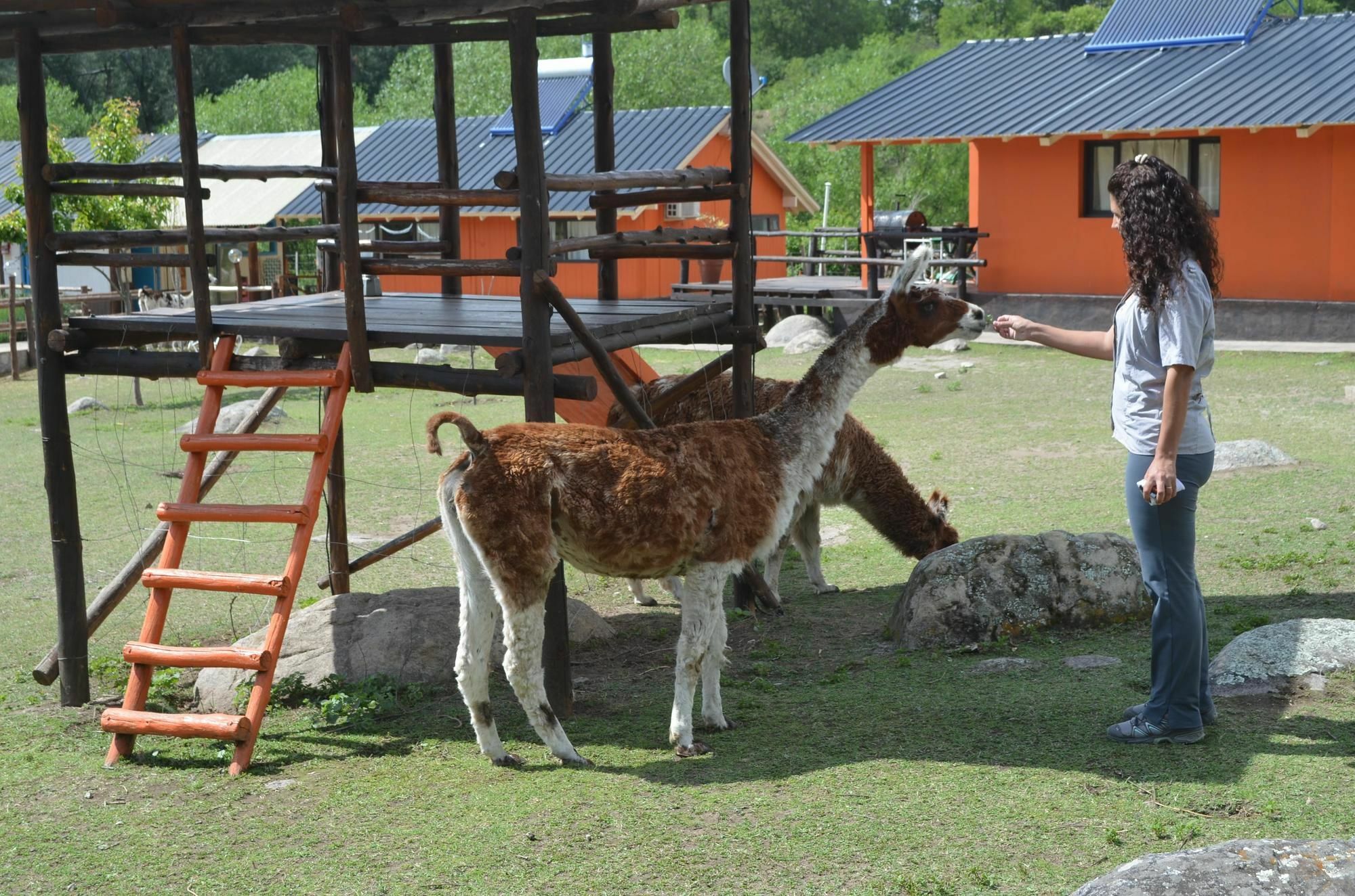 Descanso De Las Piedras Tafí del Valle エクステリア 写真